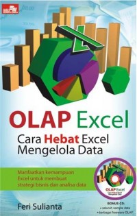 Olap Excel Cara Hebat Excel Mengelola Data